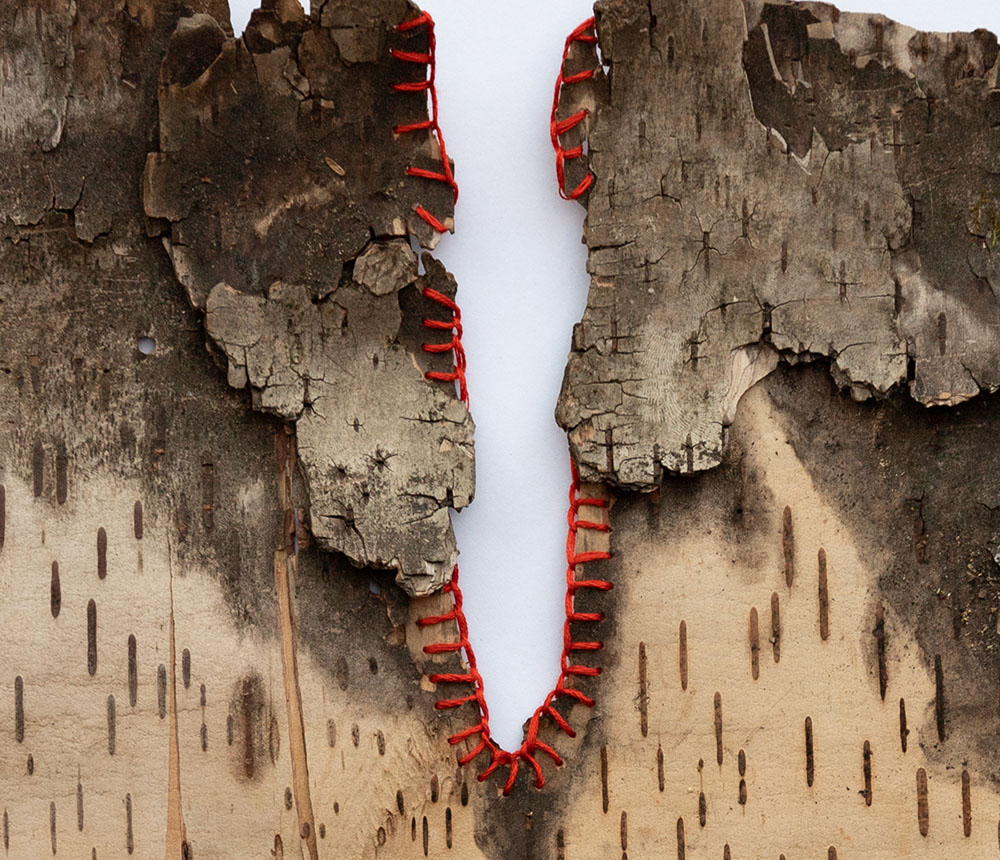 tree bark with stitching